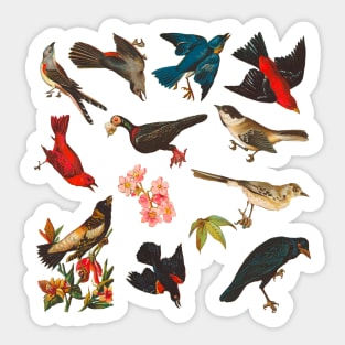 Vintage Birds Pattern Sticker